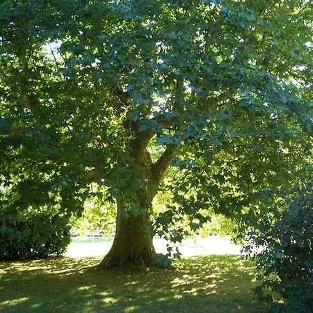 Le Platane Panzió Lafrançaise Kültér fotó