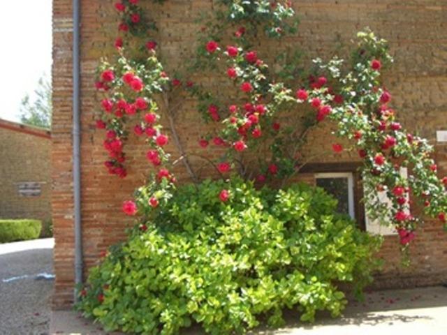 Le Platane Panzió Lafrançaise Kültér fotó