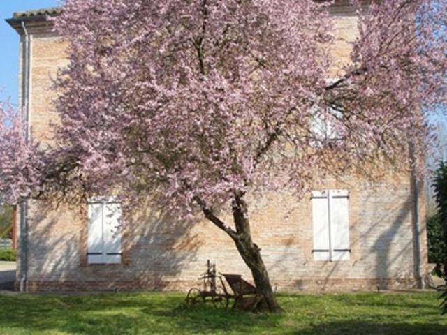 Le Platane Panzió Lafrançaise Kültér fotó