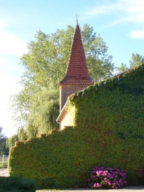 Le Platane Panzió Lafrançaise Kültér fotó